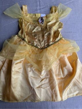 Disney Princess Dress